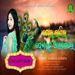 Tor Lagir Prem Rutu Aichhere